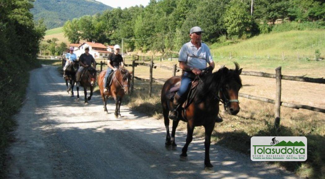 esperienze-cavallo-valtaro-valceno-tolasudolsa-r&b-cover